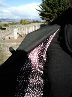 Coat Lining