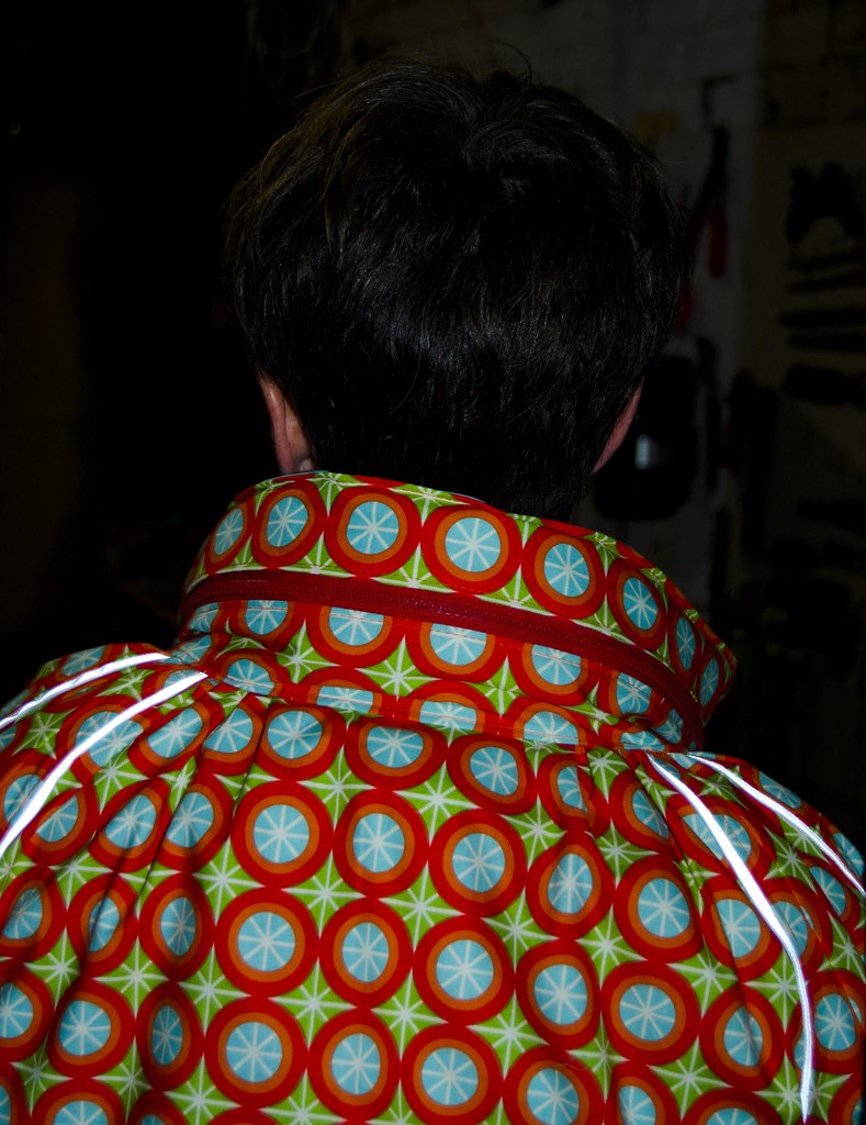 Flickr photo 6868871341